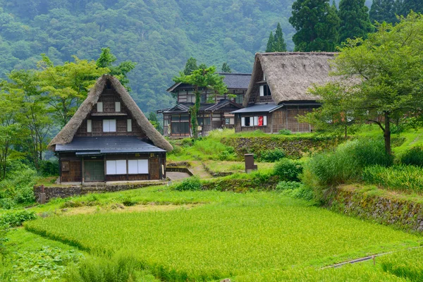 Gassho-zukuri dorp — Stockfoto