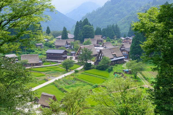 Villaggio di Gassho-zukuri — Foto Stock