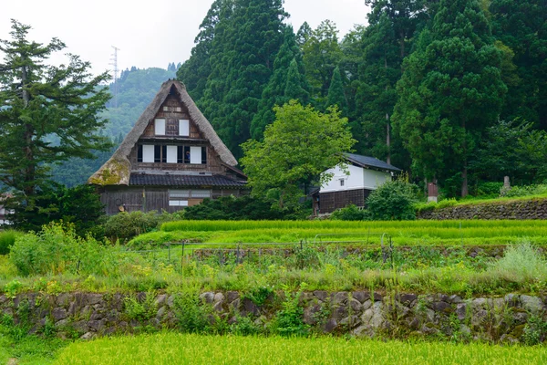 Village de Gassho-zukuri — Photo