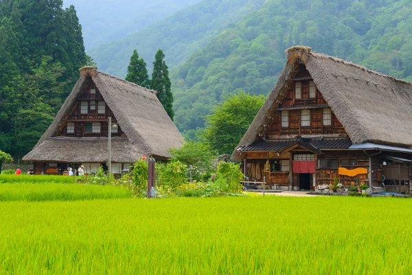 Gassho-zukuri vesnice — Stock fotografie