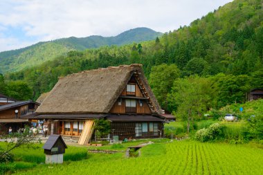 Gassho-zukuri Köyü