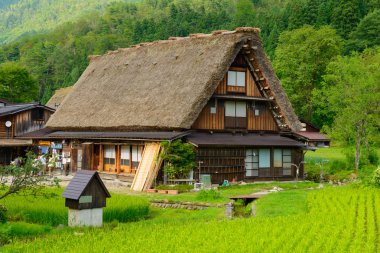 Gassho-zukuri Köyü