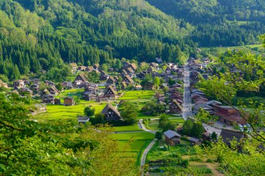 Gassho-zukuri Köyü