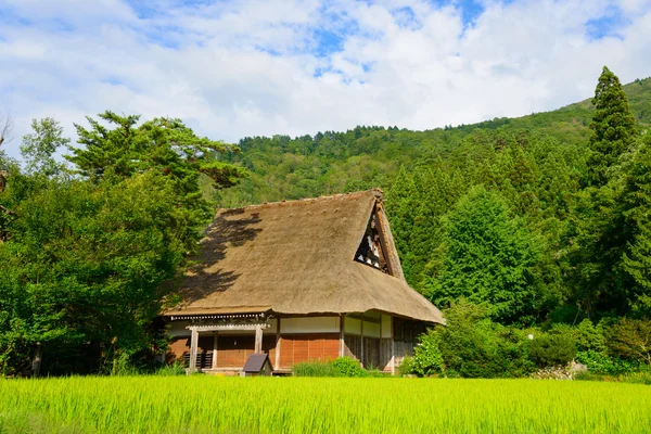 Village de Gassho-zukuri — Photo