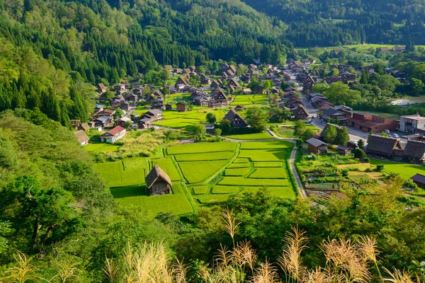 Villaggio di Gassho-zukuri — Foto Stock