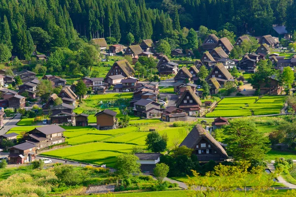 Village de Gassho-zukuri — Photo