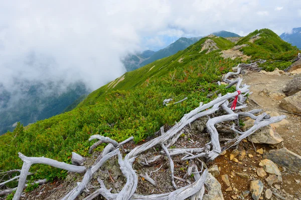 Paisagem dos Alpes do Sul do Japão — Fotografia de Stock