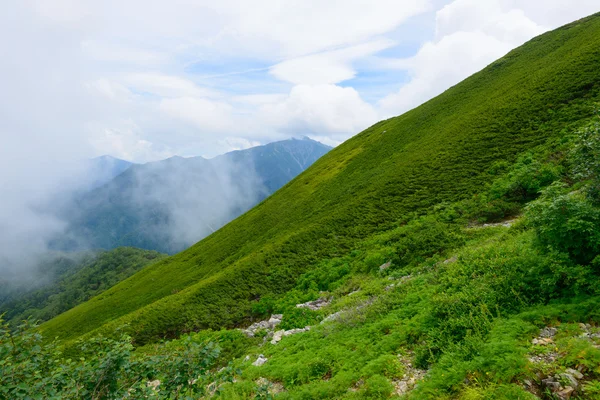 Paisagem dos Alpes do Sul do Japão — Fotografia de Stock