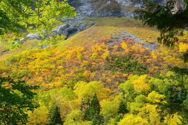 Landscape of Northern Japan Alps — Stock Photo, Image