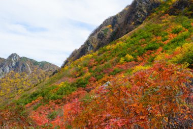 Kuzey Japonya Alps peyzaj