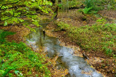 Kamikochi: Nagano, Japan