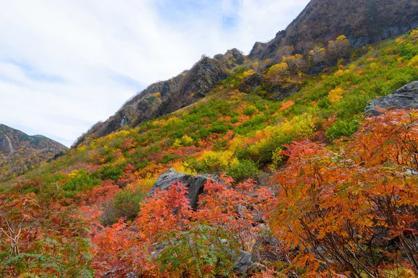 日本北部阿尔卑斯山的风景 — 图库照片