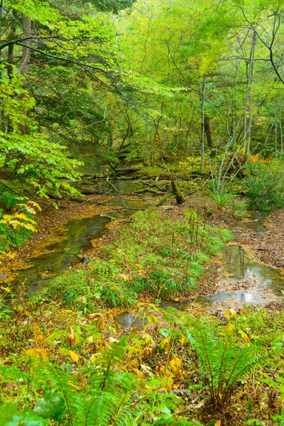 Kamikochi em Nagano, Japão — Fotografia de Stock