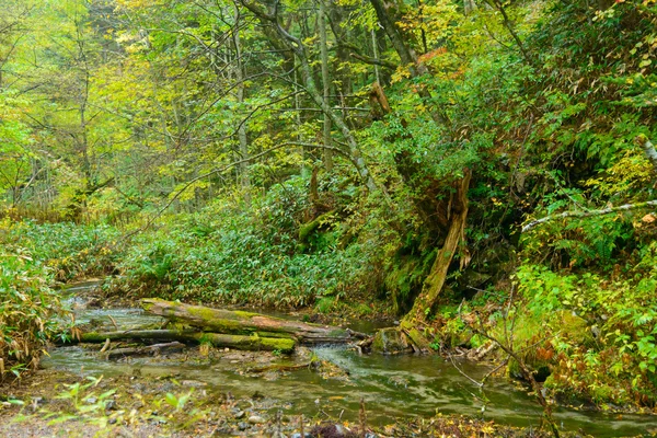 Kamikochi in Nagano, Japan — Stockfoto