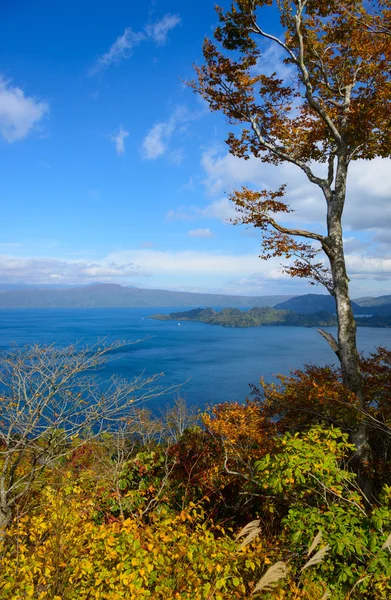 Herfst in de Lake Towada — Stockfoto