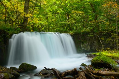 Oirase gorge: Aomori, Japan