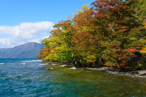 Autumn in the Lake Towada — Stock Photo, Image