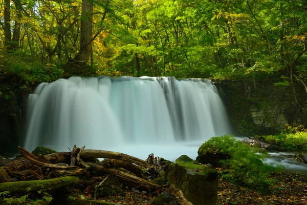 Oirase kloof in Aomori, Japan — Stockfoto