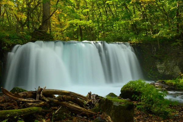 Desfiladeros en Aomori, Japón — Foto de Stock