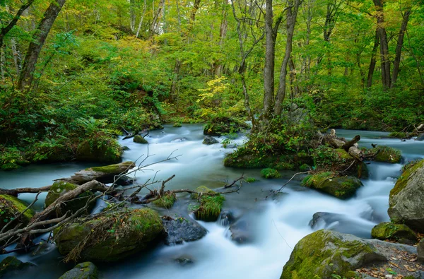 Oirase gorge i Aomori, Japan — Stockfoto