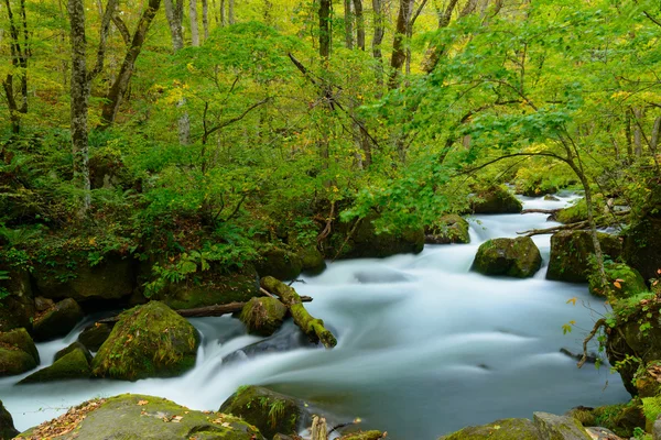 Desfiladeros en Aomori, Japón — Foto de Stock