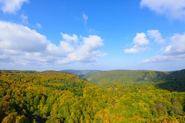 Herfst gebladerte in Aomori, Japan — Stockfoto