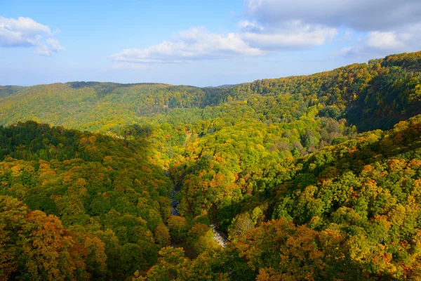 Autumn foliage in Aomori, Japan — Stock Photo, Image