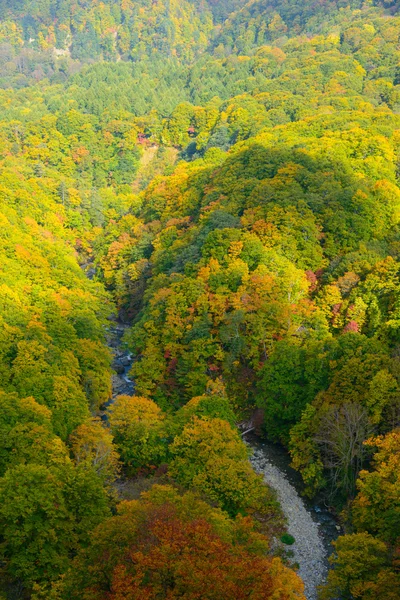 Podzimní listí v Aomori, Japonsko — Stock fotografie