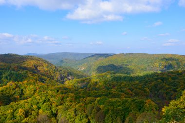 Sonbahar yaprakları: Aomori, Japan