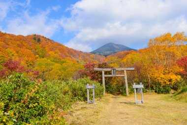 Sonbahar yaprakları: Aomori, Japan