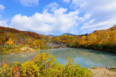 Sonbahar yaprakları: Aomori, Japan