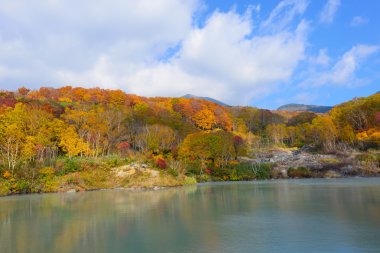 Sonbahar yaprakları: Aomori, Japan