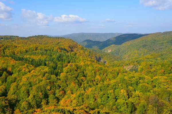 Autumn foliage in Aomori, Japan — Stock Photo, Image