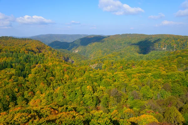 Autumn foliage in Aomori, Japan — Stock Photo, Image