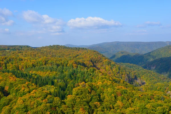 Folhagem de outono em Aomori, Japão — Fotografia de Stock