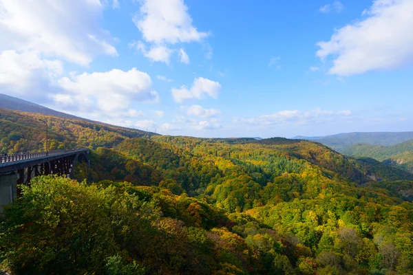 Őszi lombozat, Aomori, Japán — Stock Fotó