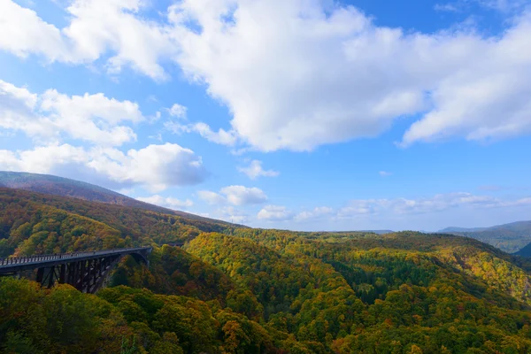 Folhagem de outono em Aomori, Japão — Fotografia de Stock