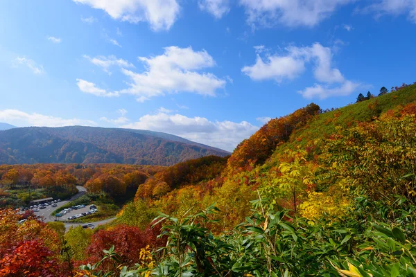 日本青森的秋叶 — 图库照片
