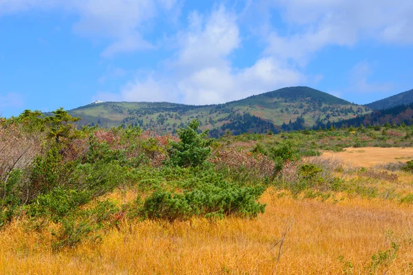 Follaje de otoño en Aomori, Japón —  Fotos de Stock