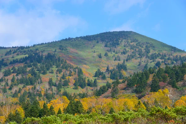 Follaje de otoño en Aomori, Japón —  Fotos de Stock