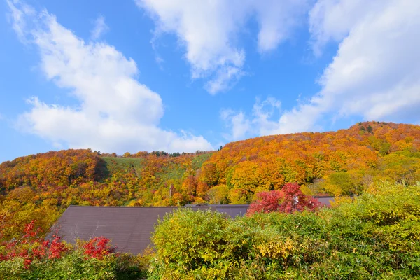 Herbstlaub in Aomori, Japan — Stockfoto