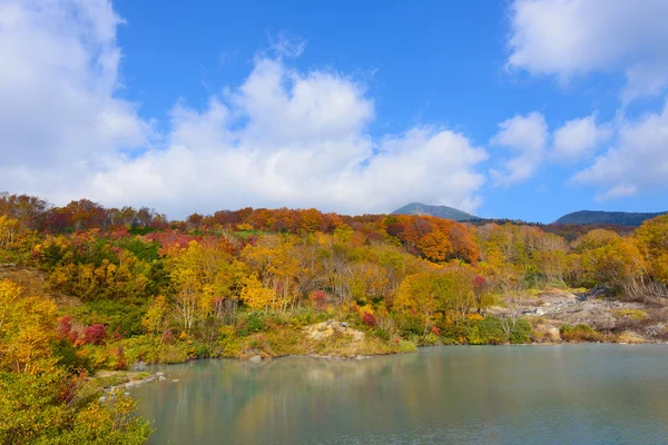 Folhagem de outono em Aomori, Japão — Fotografia de Stock