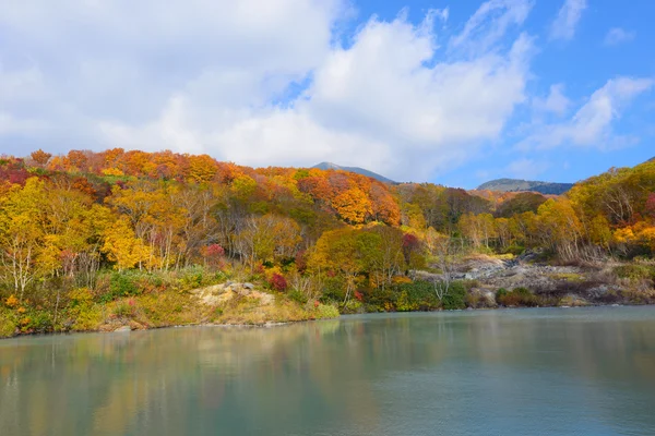 Follaje de otoño en Aomori, Japón — Foto de Stock