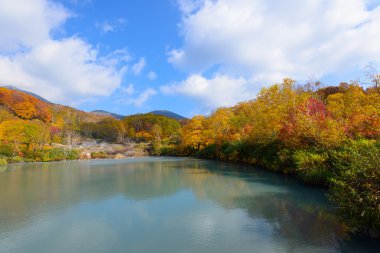 Autumn foliage in Aomori, Japan clipart