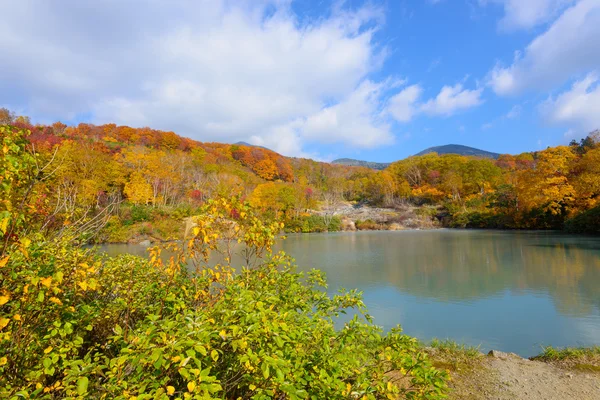 Follaje de otoño en Aomori, Japón — Foto de Stock