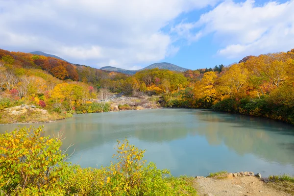 Herfst gebladerte in Aomori, Japan — Stockfoto
