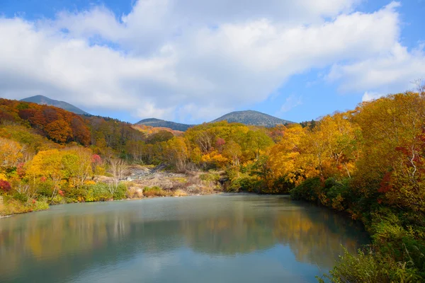 Herfst gebladerte in Aomori, Japan — Stockfoto