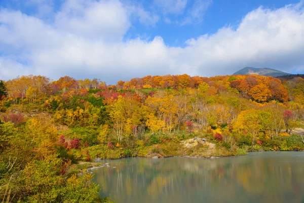 Autumn foliage in Aomori, Japan — Stock Photo, Image