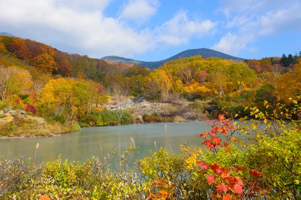 Herfst gebladerte in Aomori, Japan — Stockfoto