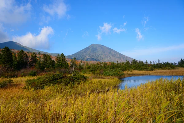 Herfst gebladerte in Aomori, Japan — Stockfoto